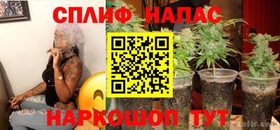 МДПВ Можга