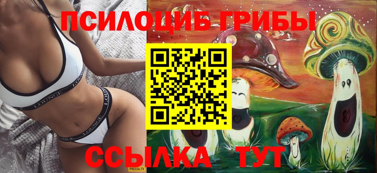 Псилоцибиновые грибы Cubensis Владимир